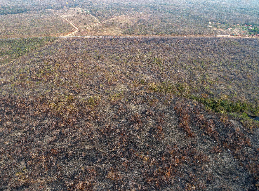 Amazzonia-incendi