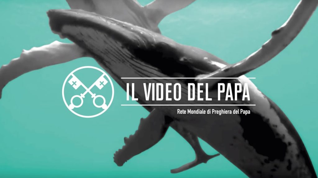 La protezione degli oceani – Il Video del Papa di Settembre