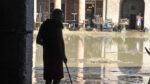 senigallia-ansa